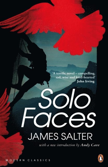 James Salter - Solo Faces, E-bok