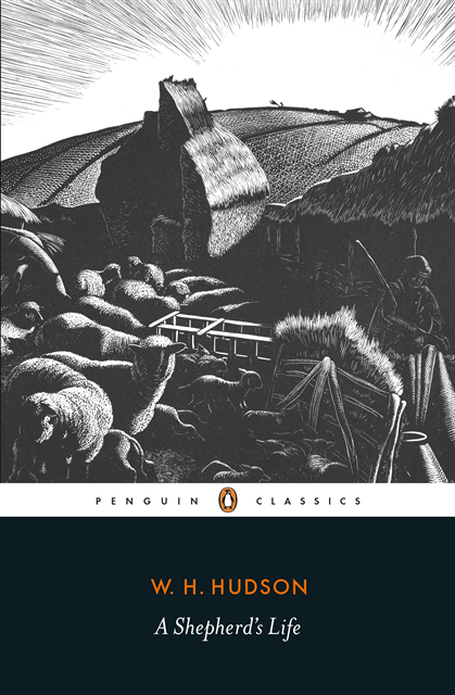 W. H. Hudson - Shepherd's Life, E-bok