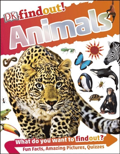 DK - DKfindout! Animals, E-bok