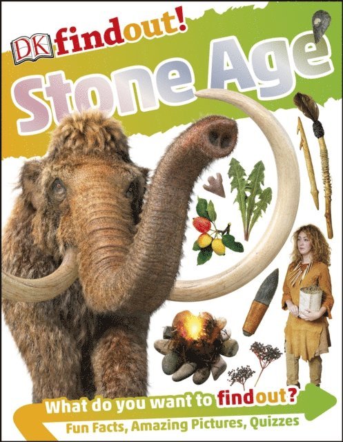 DK, Klint Janulis - DKfindout! Stone Age, E-bok