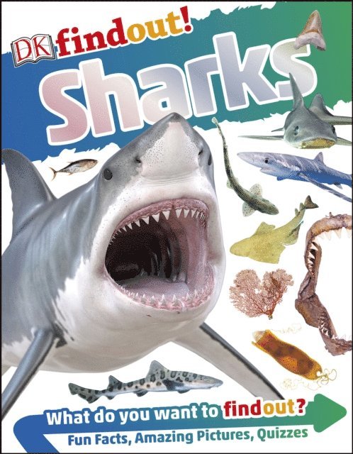 DK - DKfindout! Sharks, E-bok