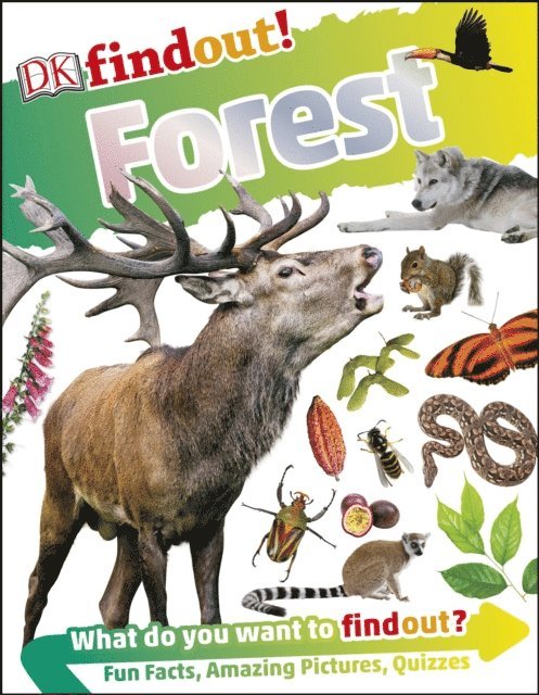 DK - DKfindout! Forest, E-bok
