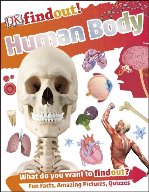 DK - DKfindout! Human Body, E-bok