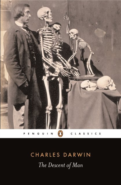 Charles Darwin - Descent of Man, E-bok