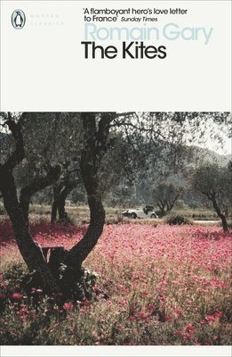 Kites av Romain Gary