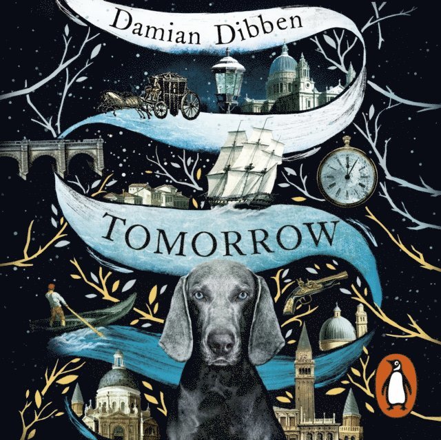 Damian Dibben - Tomorrow, Ljudbok
