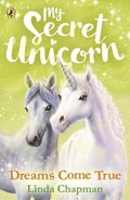 My Secret Unicorn: Dreams Come True
