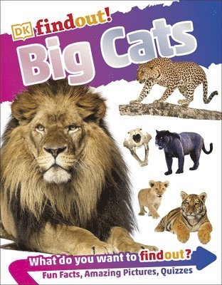 DKfindout! Big Cats av Dk, Dk
