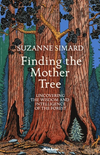 Suzanne Simard - Finding the Mother Tree, E-bok