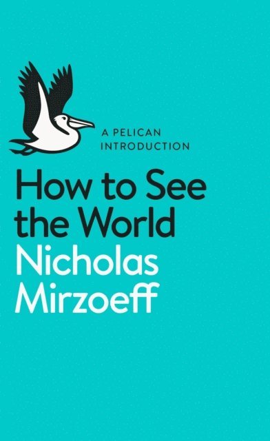 Nicholas Mirzoeff - How to See the World, Ljudbok