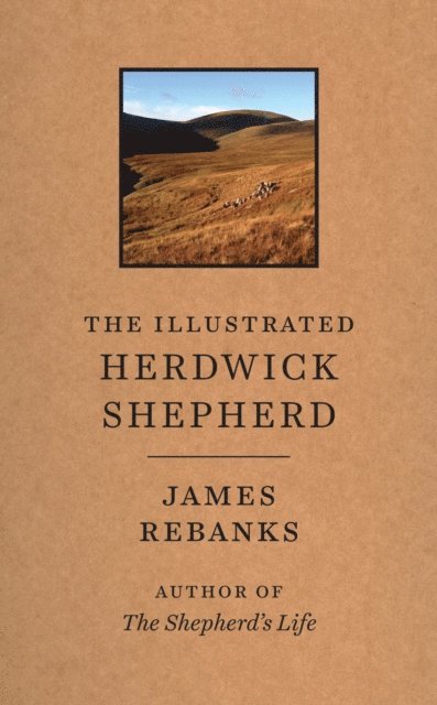 James Rebanks - Illustrated Herdwick Shepherd, E-bok