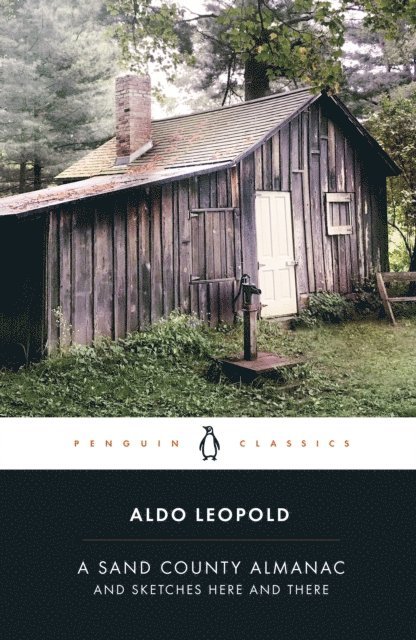 Aldo Leopold - Sand County Almanac, E-bok