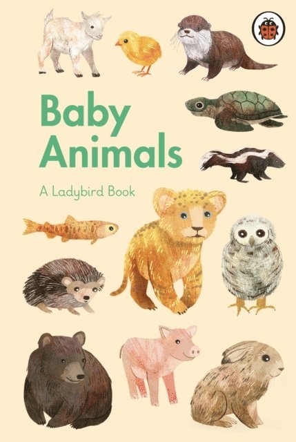 Ladybird Book: Baby Animals, E-bok