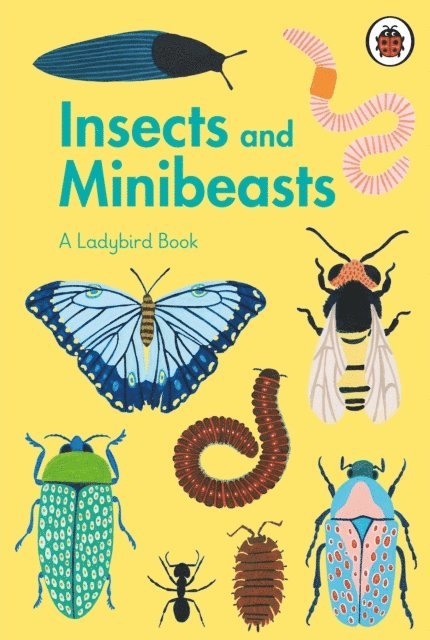 Ladybird Book: Insects and Minibeasts, E-bok