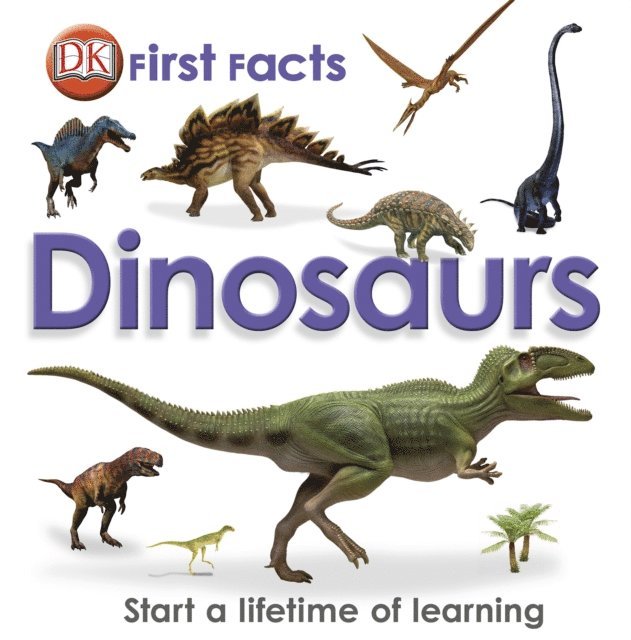 DK - First Facts Dinosaurs, E-bok