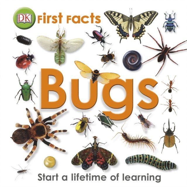 DK - First Facts Bugs, E-bok