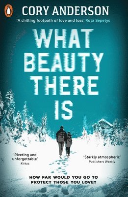 Cory Anderson - What Beauty There Is, Häftad