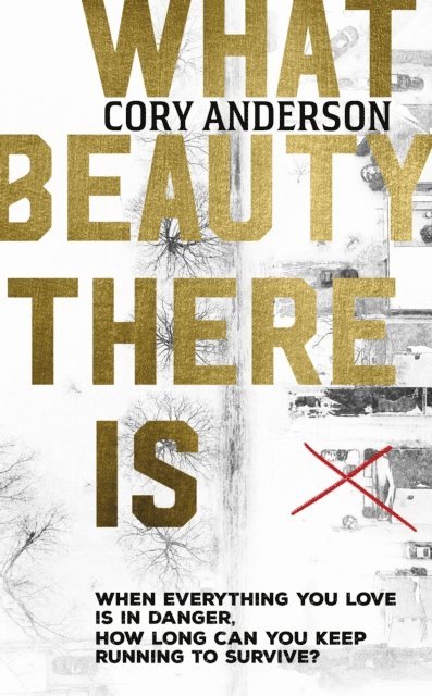 Cory Anderson - What Beauty There Is, E-bok