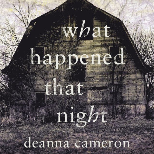 Deanna Cameron - What Happened That Night, Ljudbok