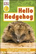 Hello Hedgehog