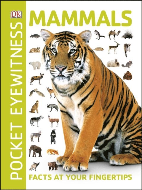 DK - Mammals, E-bok