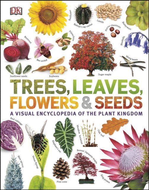 DK - Trees, Leaves, Flowers & Seeds, E-bok
