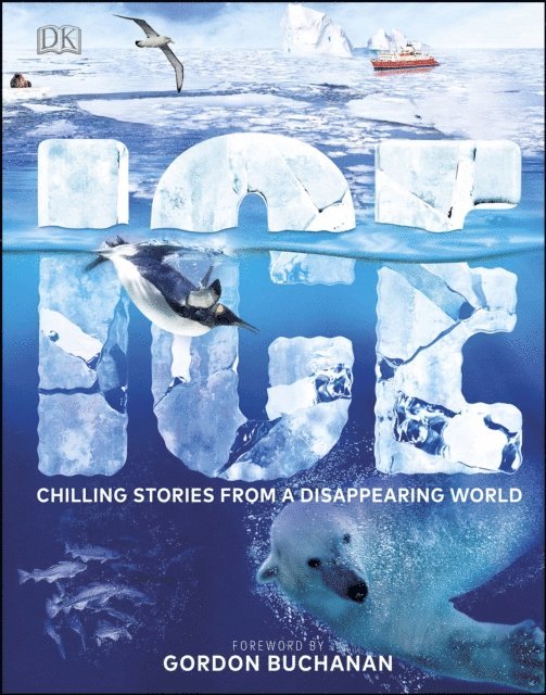 Ice