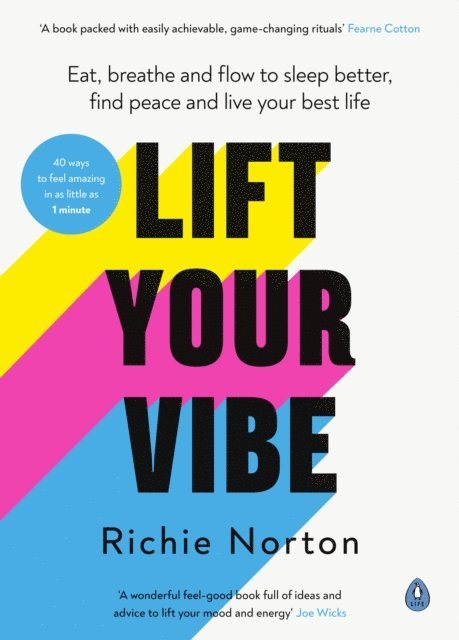 Richie Norton - Lift Your Vibe, E-bok