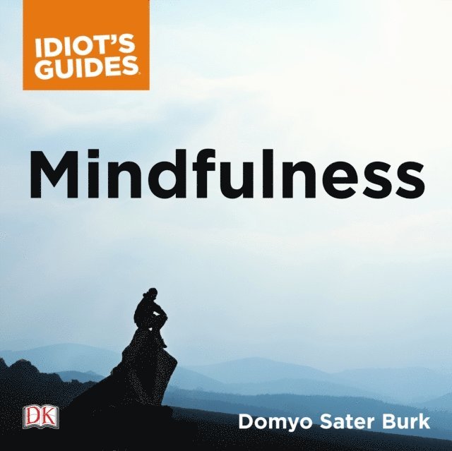 Domyo Sater Burk - Mindfulness, Ljudbok