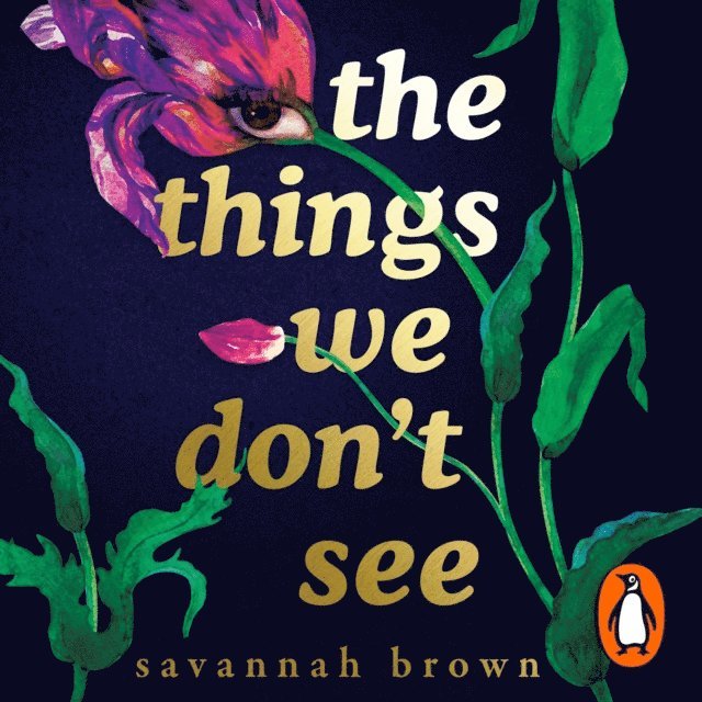 Savannah Brown - Things We Don't See, Ljudbok