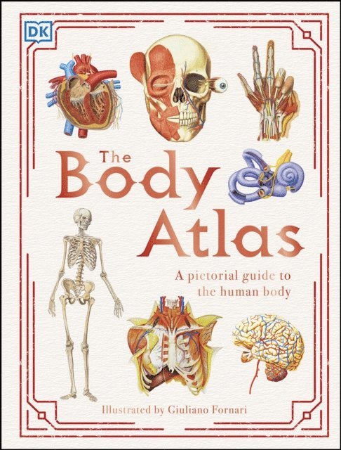 DK - Body Atlas, E-bok