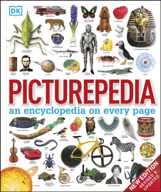 DK - Picturepedia, E-bok