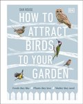 How to Attract Birds to Your Garden