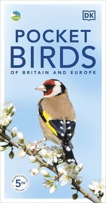 DK - RSPB Pocket Birds of Britain and Europe 5th Edition, Häftad