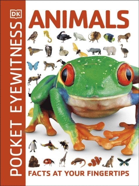 DK - Animals, E-bok