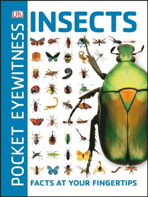 DK - Pocket Eyewitness Insects, E-bok