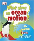 What gives an Ocean Motion?