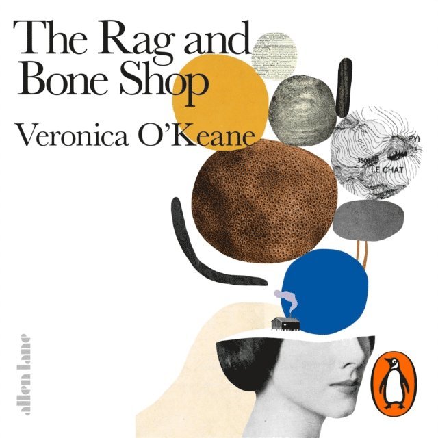 Veronica O'Keane - Rag and Bone Shop, Ljudbok
