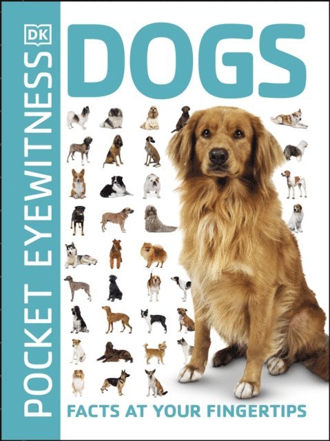 DK - Pocket Eyewitness Dogs, E-bok