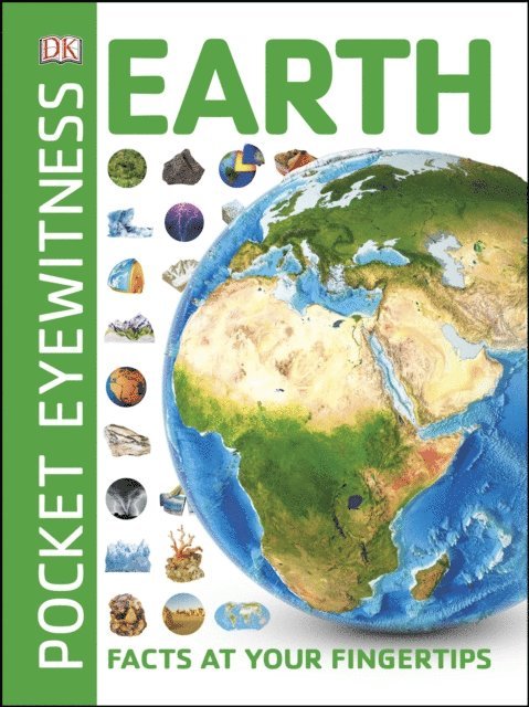 DK - Pocket Eyewitness Earth, E-bok