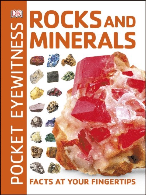 DK - Pocket Eyewitness Rocks and Minerals, E-bok