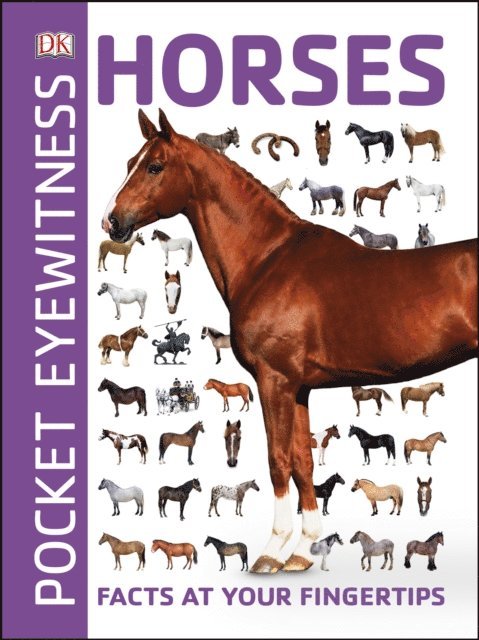 DK - Pocket Eyewitness Horses, E-bok