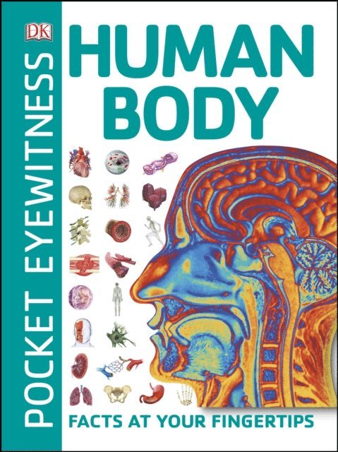 DK - Pocket Eyewitness Human Body, E-bok