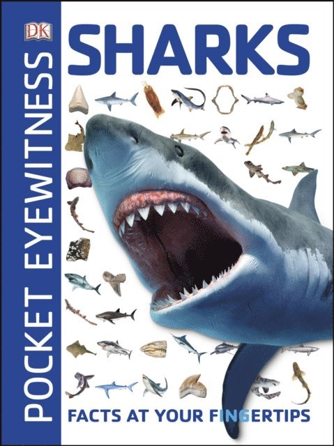 DK - Pocket Eyewitness Sharks, E-bok