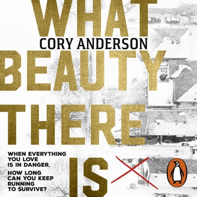 Cory Anderson - What Beauty There Is, Ljudbok