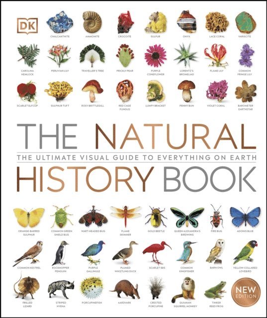 DK - Natural History Book, E-bok