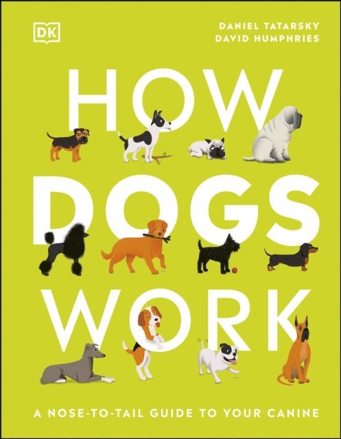 Daniel Tatarsky - How Dogs Work, E-bok