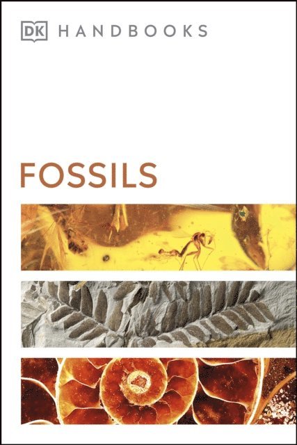 DK, David Ward - Fossils, E-bok