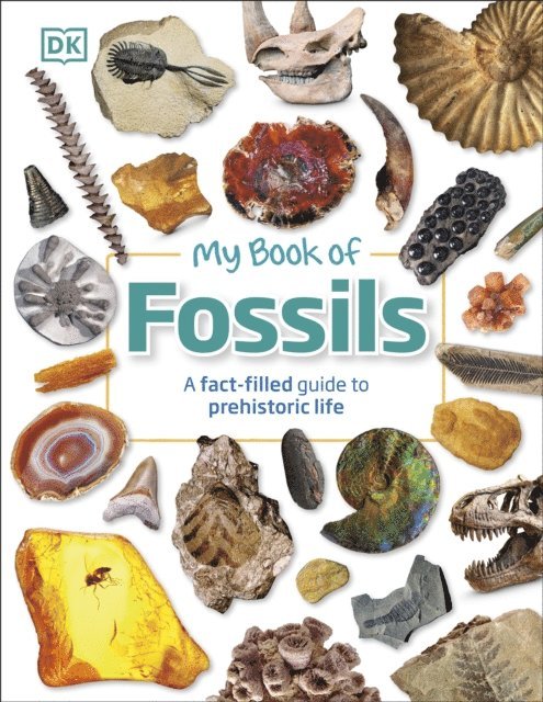 DK, Dean R. Lomax - My Book of Fossils, E-bok