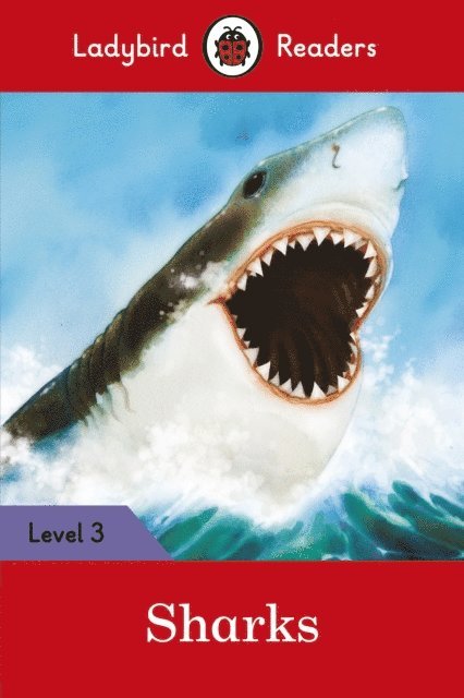 Ladybird - Ladybird Readers Level 3 - Sharks (ELT Graded Reader), E-bok